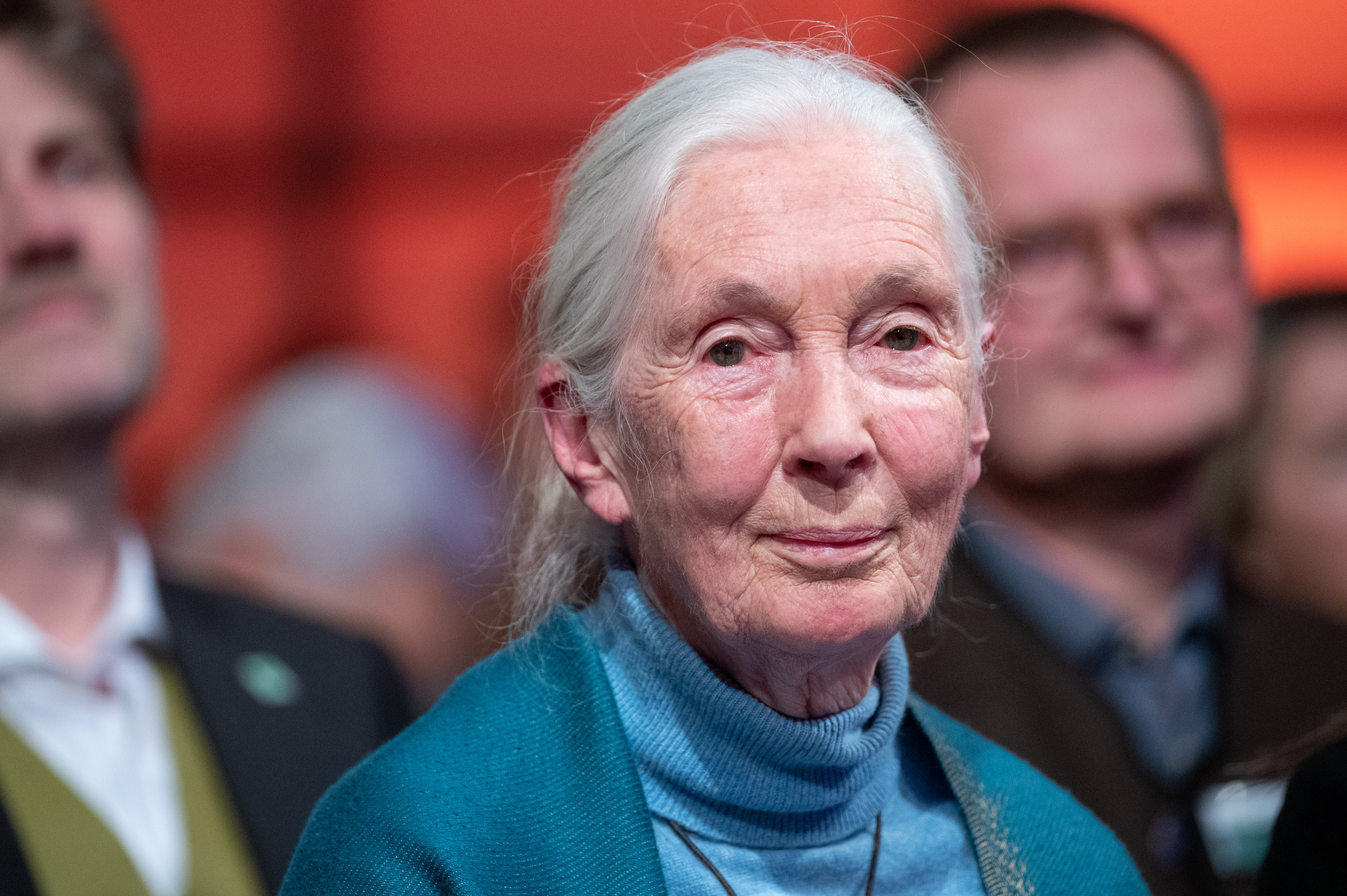 Jane Goodall: Nem kölcsönvettük, hanem elloptuk a jövőt a gyerekeinktől