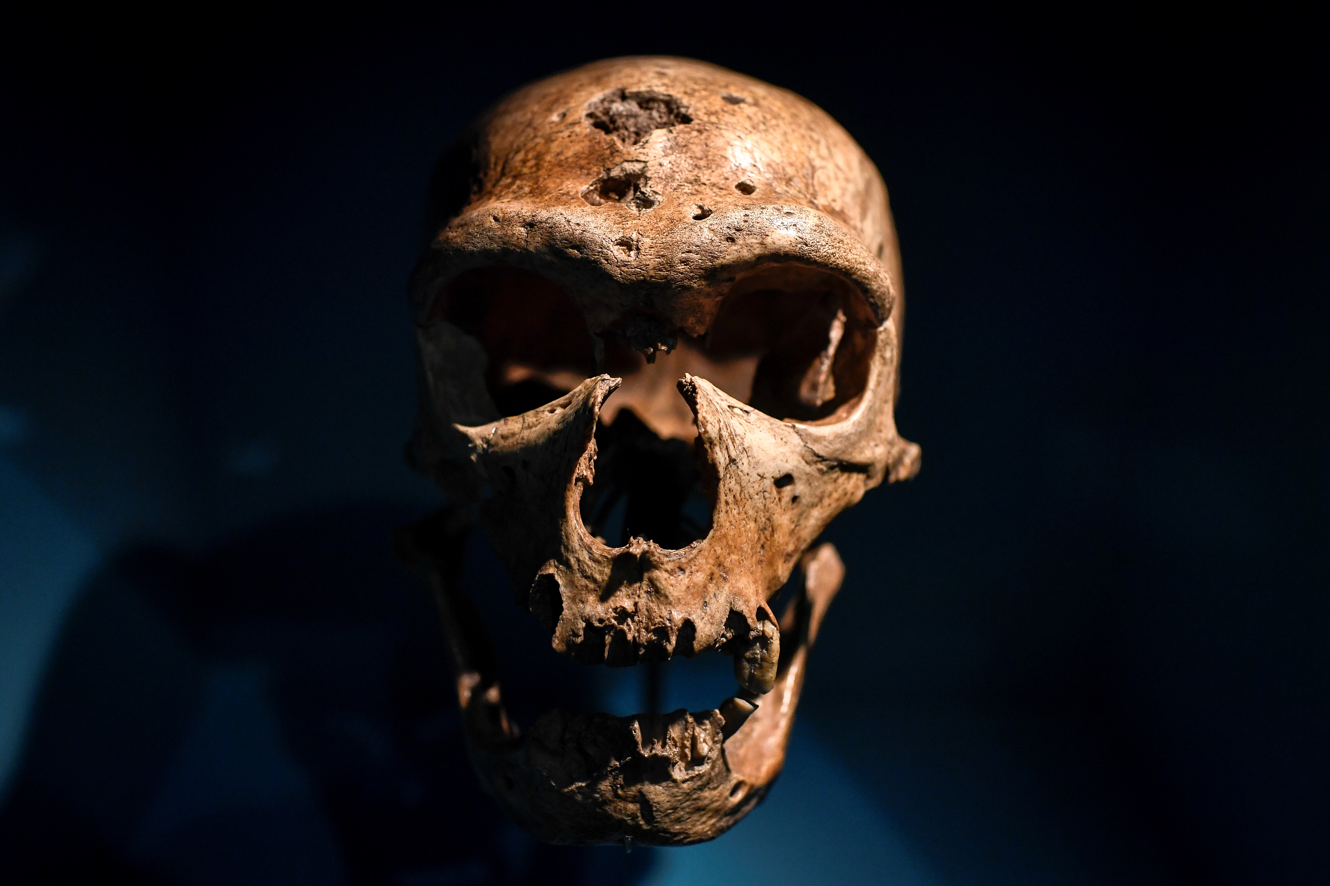 A neandervölgyiek már eltemették a halottaikat