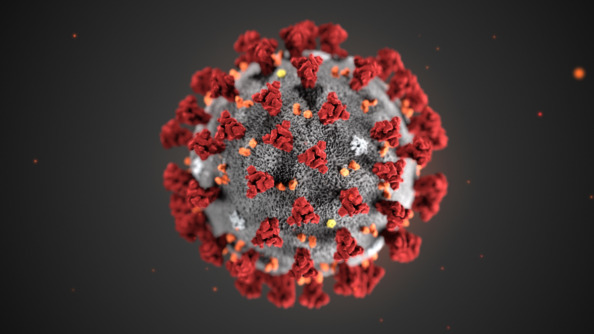 Az új koronavírus természetes eredetű, nem laboratóriumi manipuláció eredménye