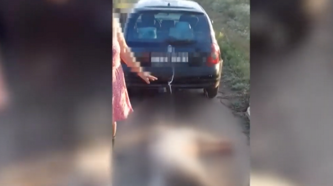 Rendőrök menekítették ki bíróságról a balotaszállási nőt, aki kilométereken át vontatta maga után kutyáját
