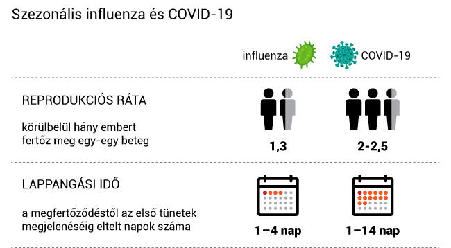 Egyetlen beszédes ábra arról, miért veszélyesebb a COVID-19, mint az influenza
