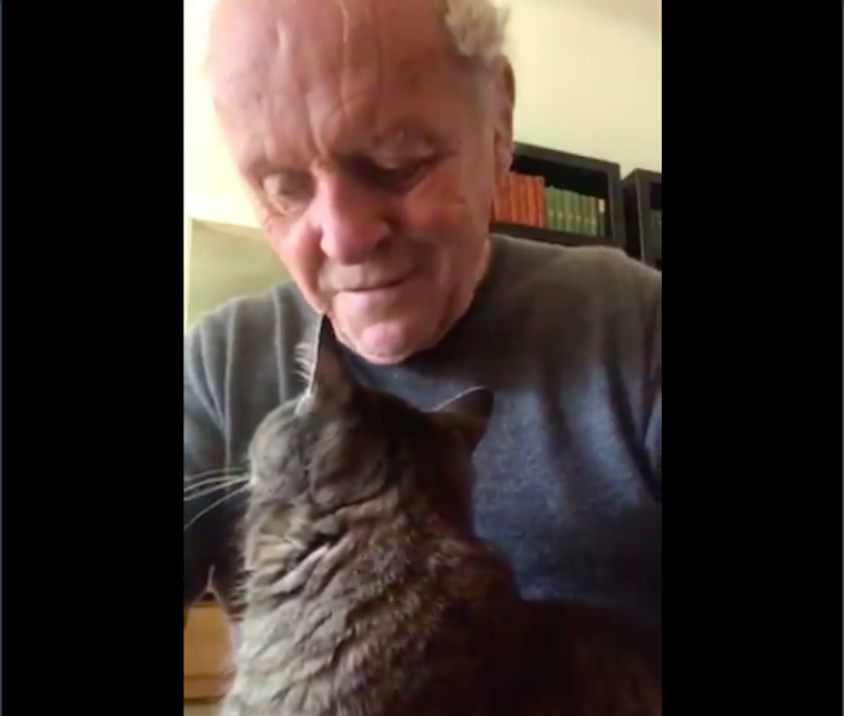 Anthony Hopkins azzal üti el az időt, hogy a macskájának zongorázik