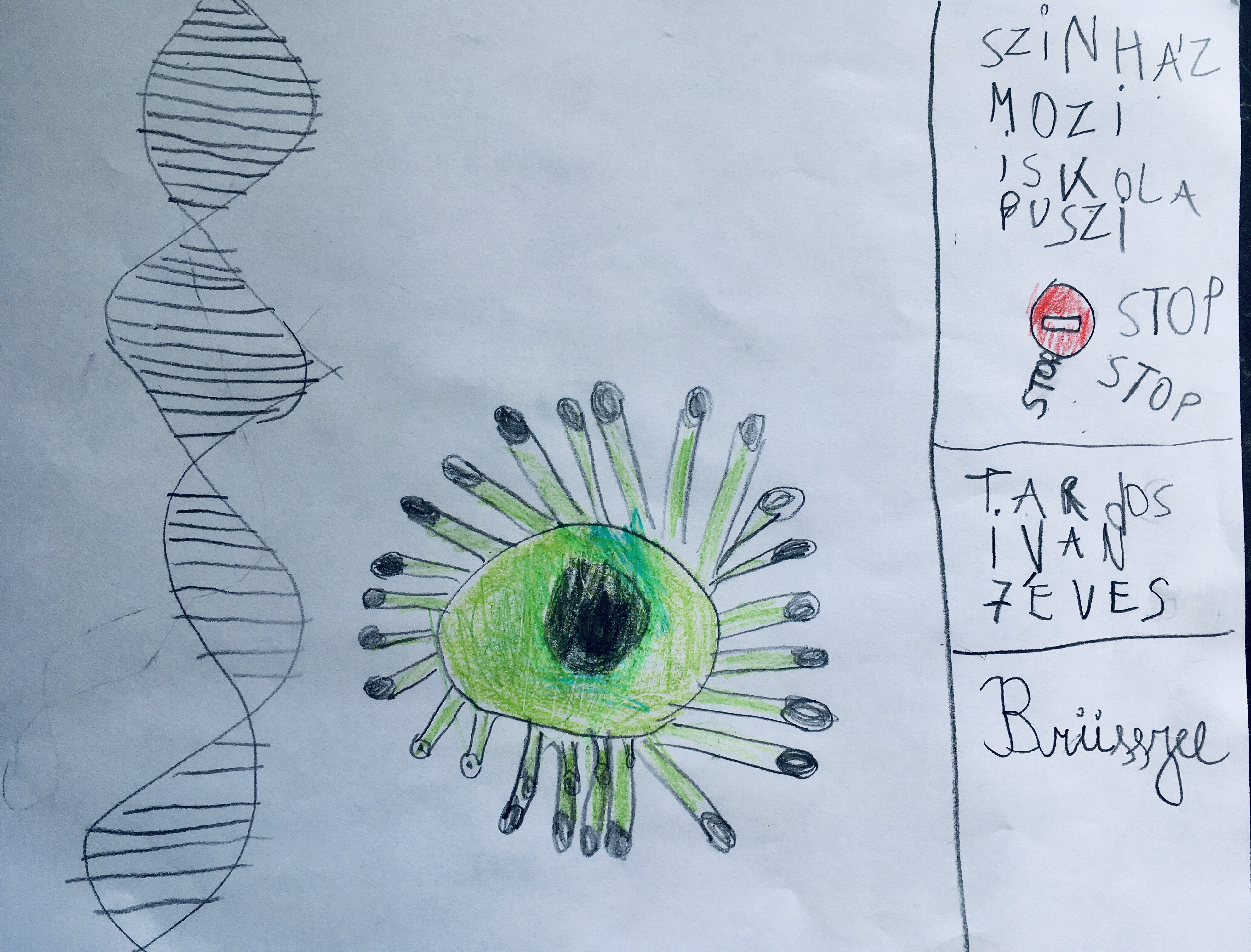 Brüsszeli olvasónk 7 éves fia, Iván a koronavírus örökítőanyagát is ismeri, csakúgy, mint a járvány miatt bevezetett óvintézkedéseket.