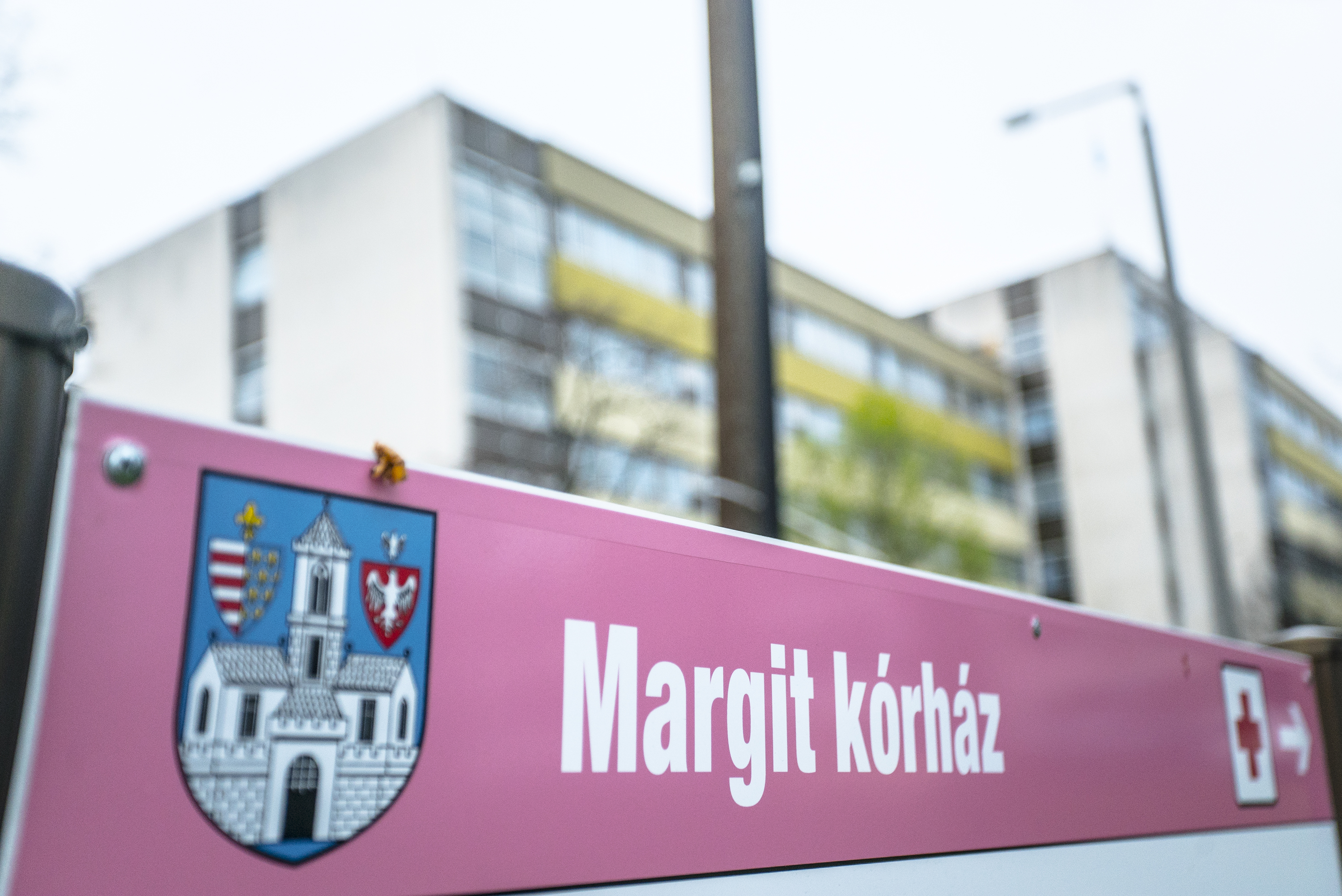 Ágyi poloskák miatt kellett kiüríteni a Szent Margit Kórház egyik osztályát