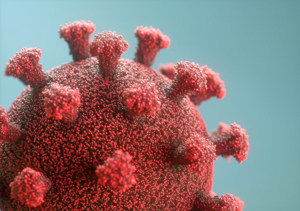 Elképzelhető, hogy a koronavírus idővel alkalmazkodik az emberhez, de ez nem feltétlenül baj