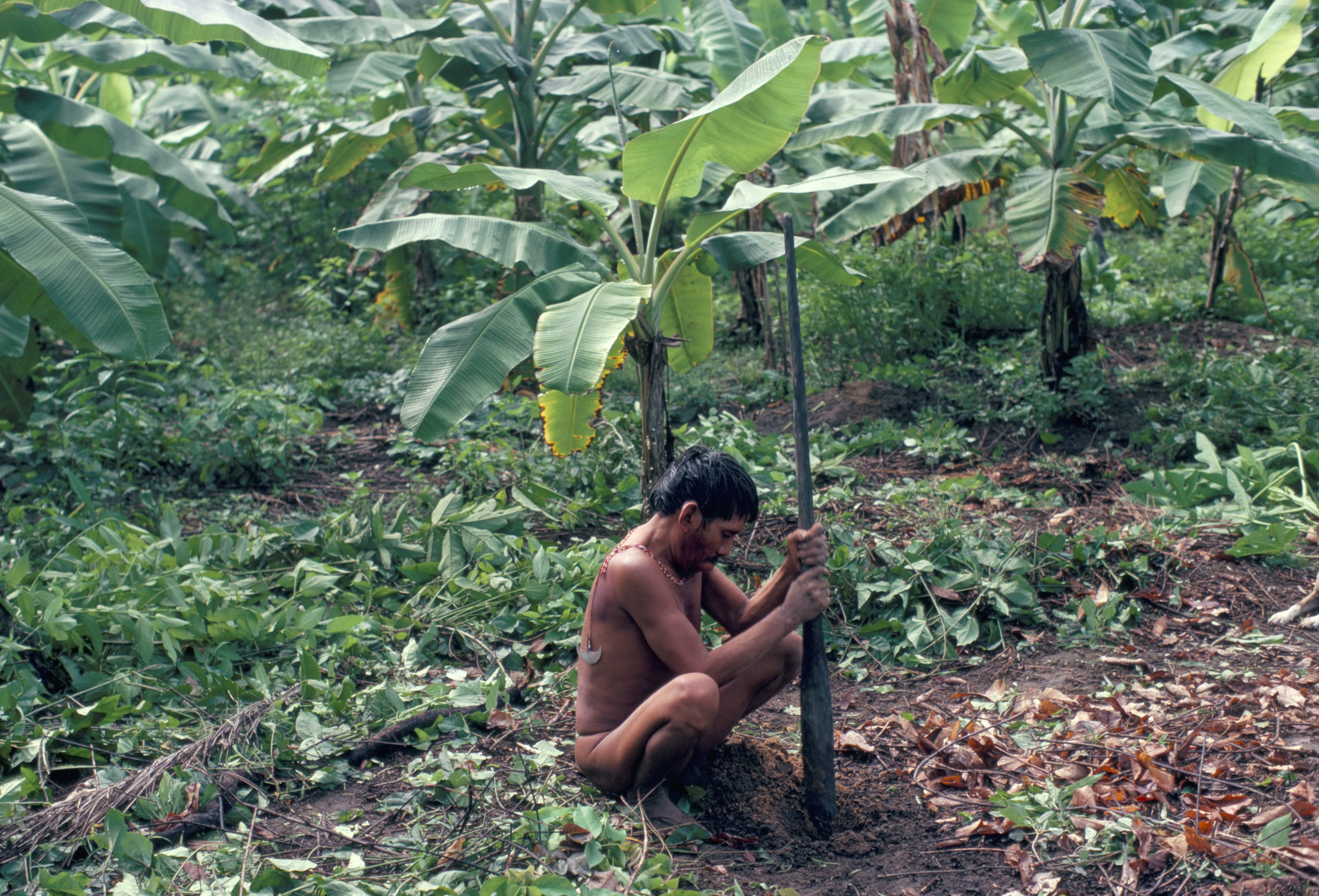 Az amazóniai yanomami törzsben is megjelent a koronavírus
