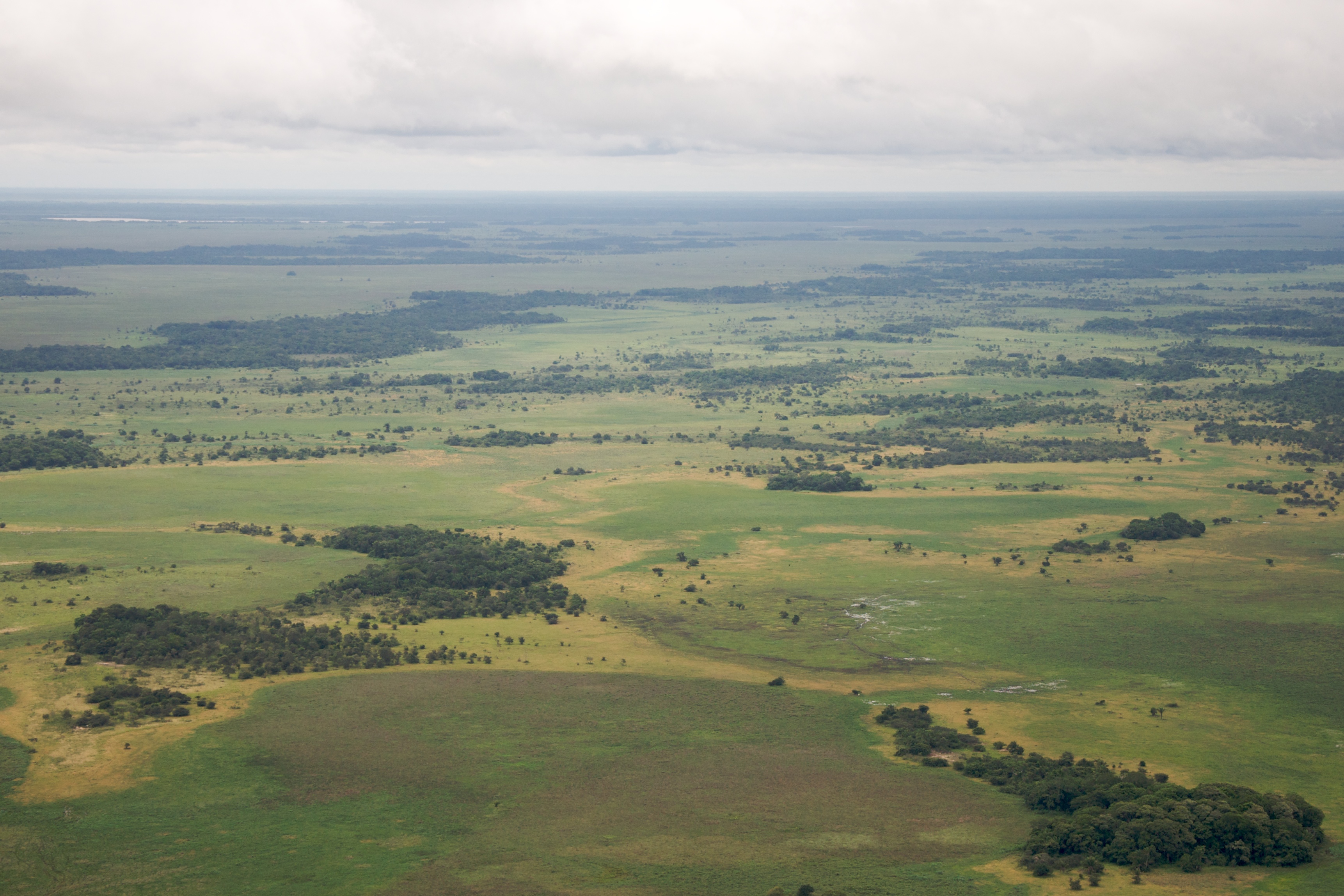 Ősi növénytermesztés folyt az Amazonas-medencében