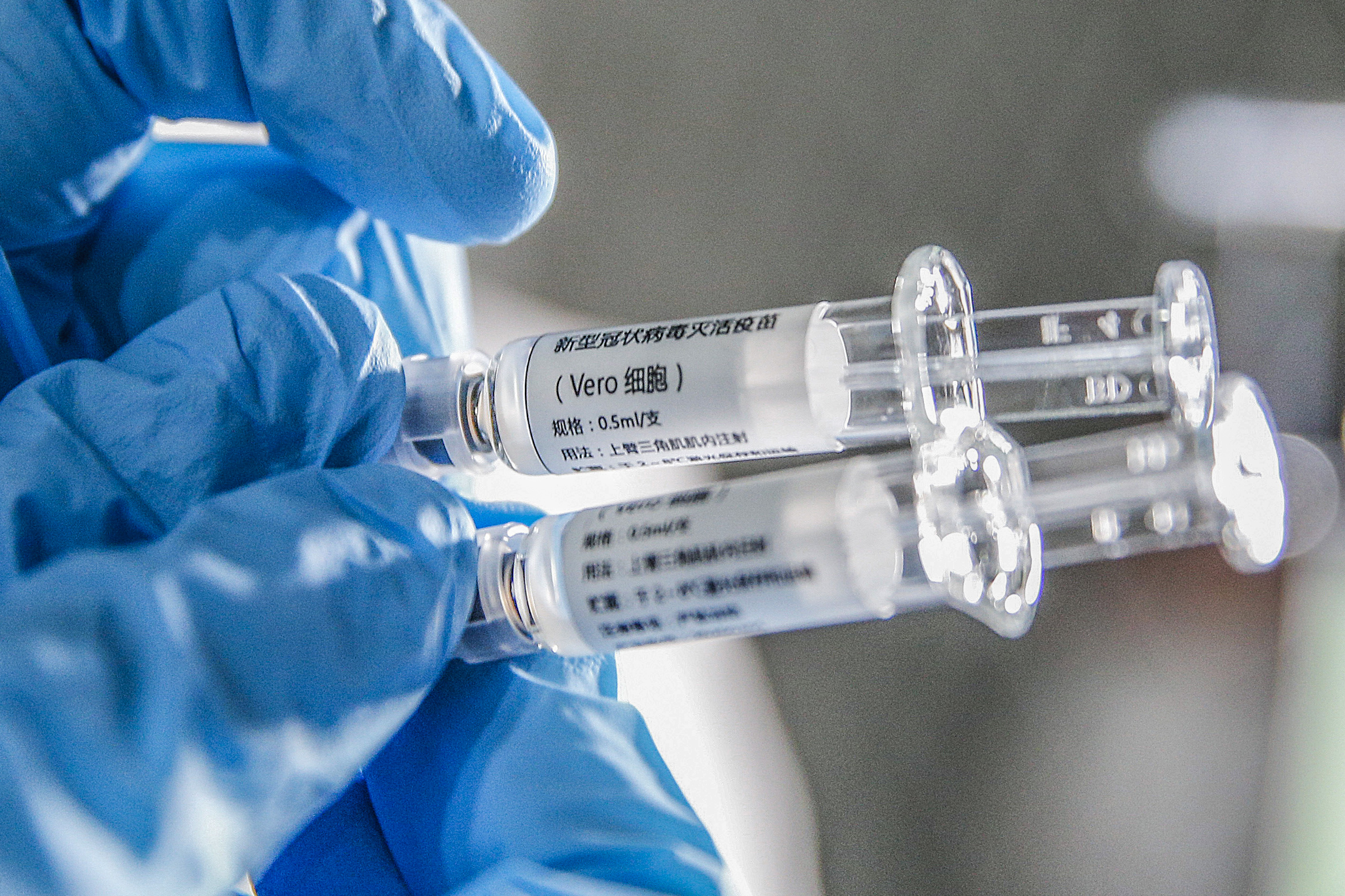 Először teszteltek sikeresen koronavírus elleni vakcinát majmokon
