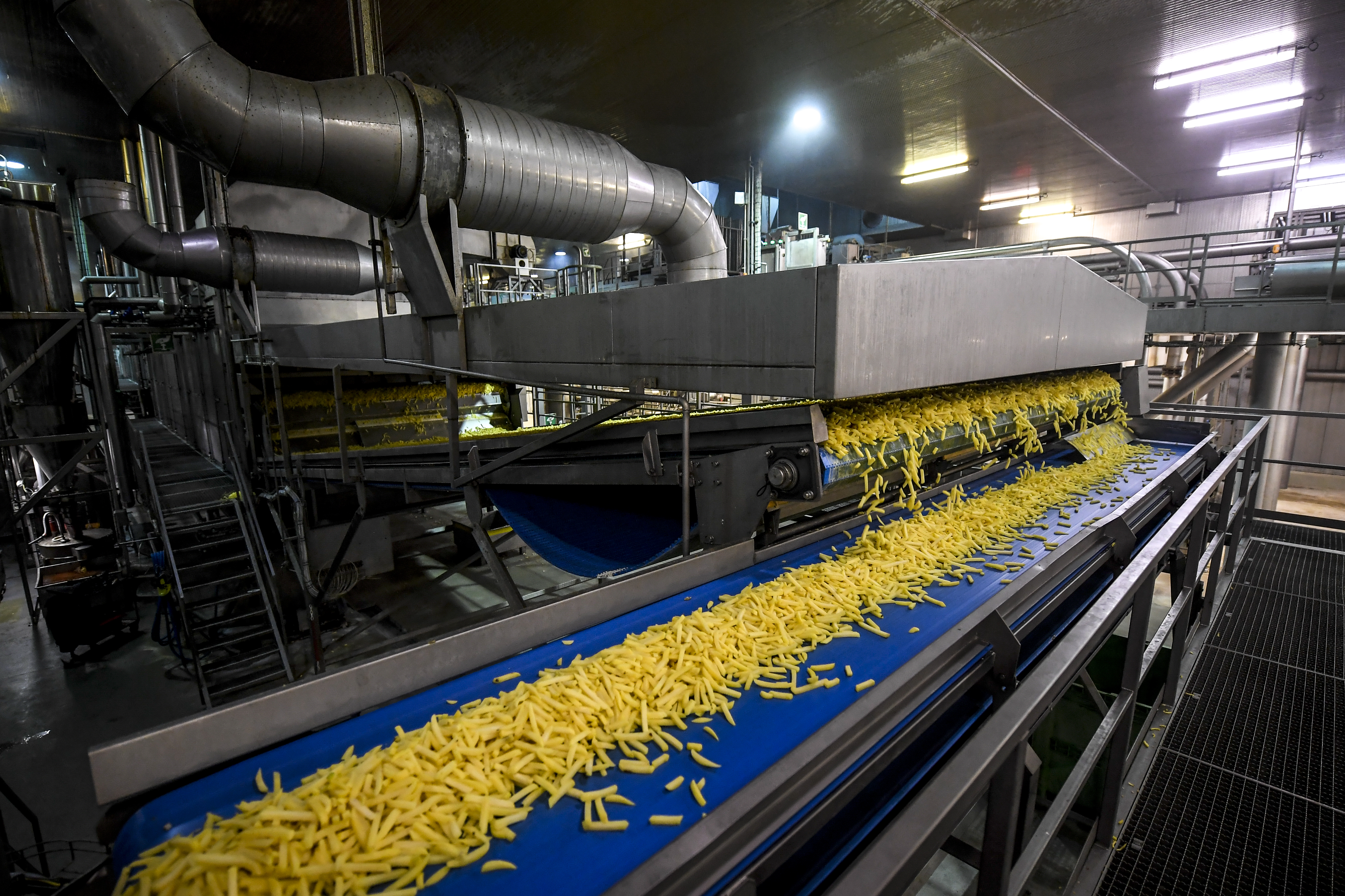 Fagyasztott sült krumplit gyártó üzem a belgiumi Leuze-en-Hainaut-ban
