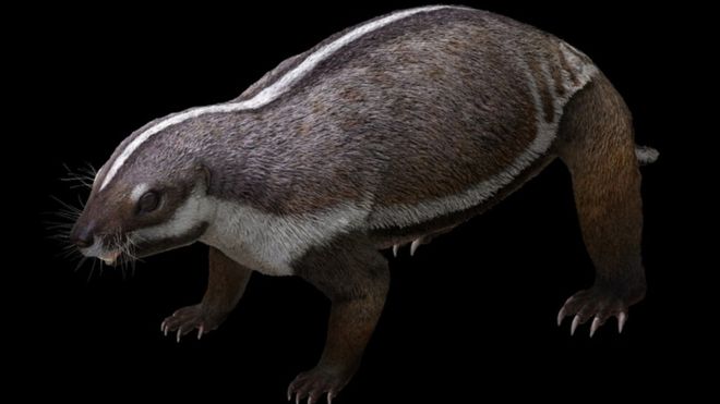 Átírhatja az emlősök evolúciós törzsfáját a 66 millió évvel ezelőtt élt madagaszkári bestia