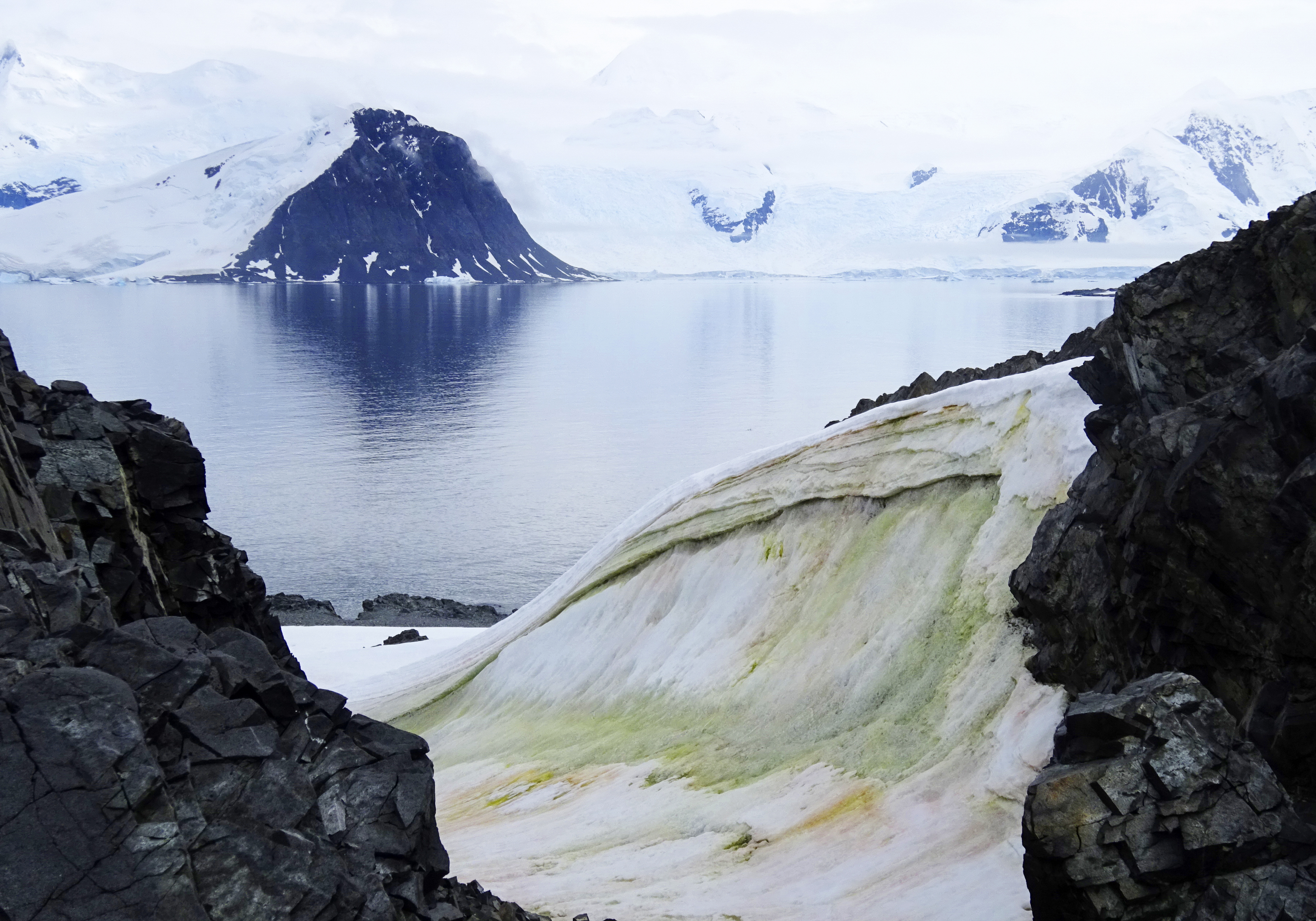 Zöldülni kezdett az Antarktisz a felmelegedés miatt