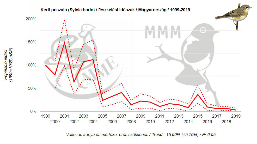 Aggasztóan csökken a madarak állománya Magyarországon