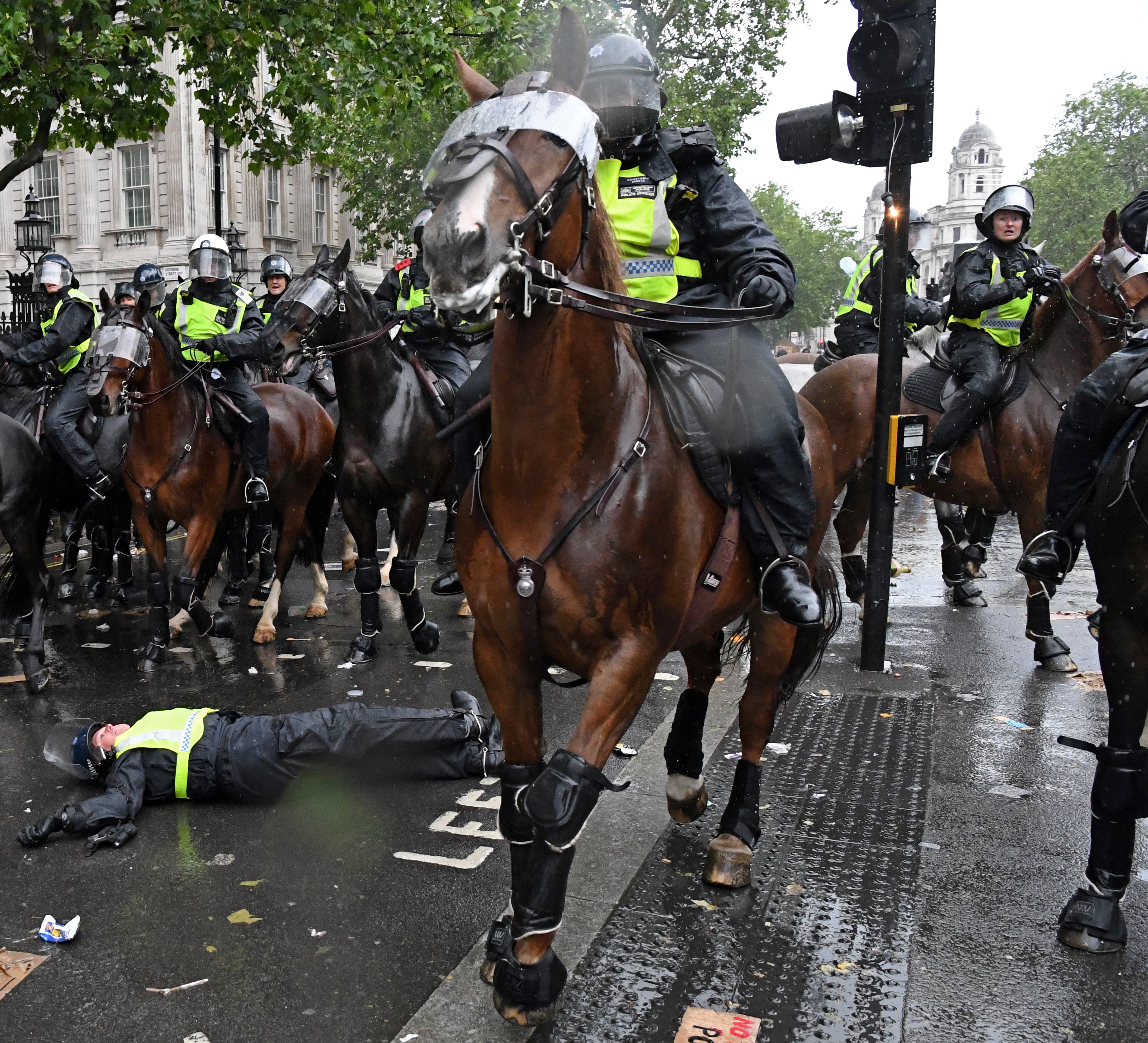 Elszabadult rendőrló okozott riadalmat a Downing Streeten
