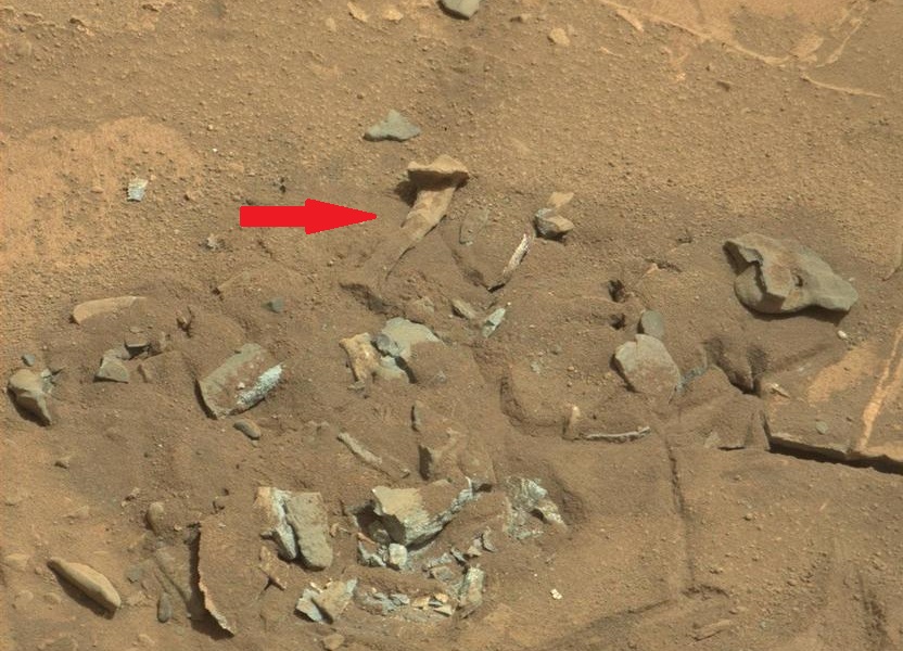 Emberi csontra emlékeztető kőzetdarab képe kering a Marsról, a NASA-nak magyarázkodnia kellett