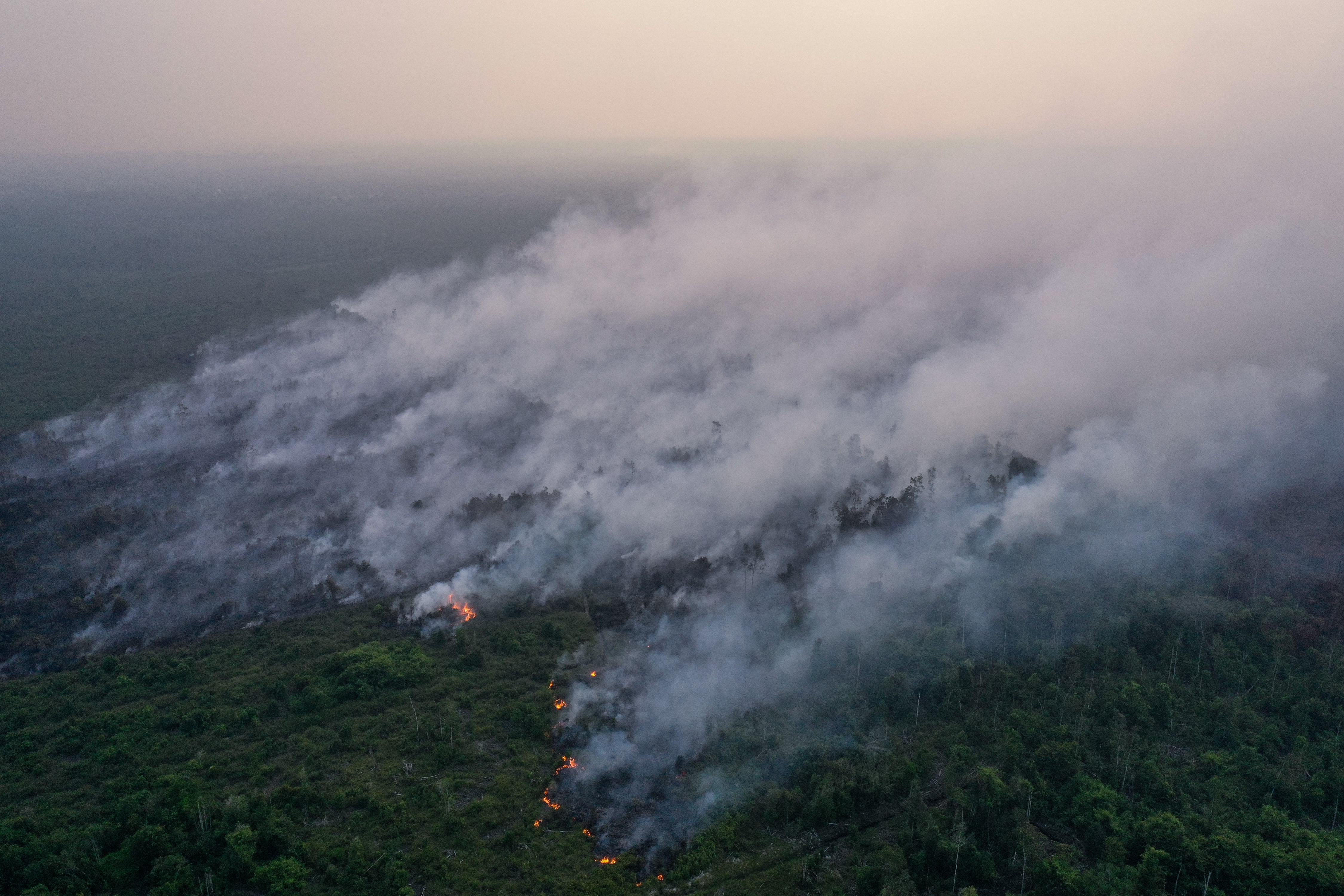 Mesterséges esőkkel előzik meg az erdőtüzeket Indonéziában