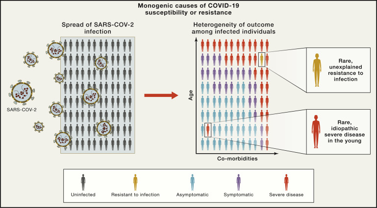 5 életbe vágó kérdés a koronavírusról, amikre még mindig nem tudjuk a választ