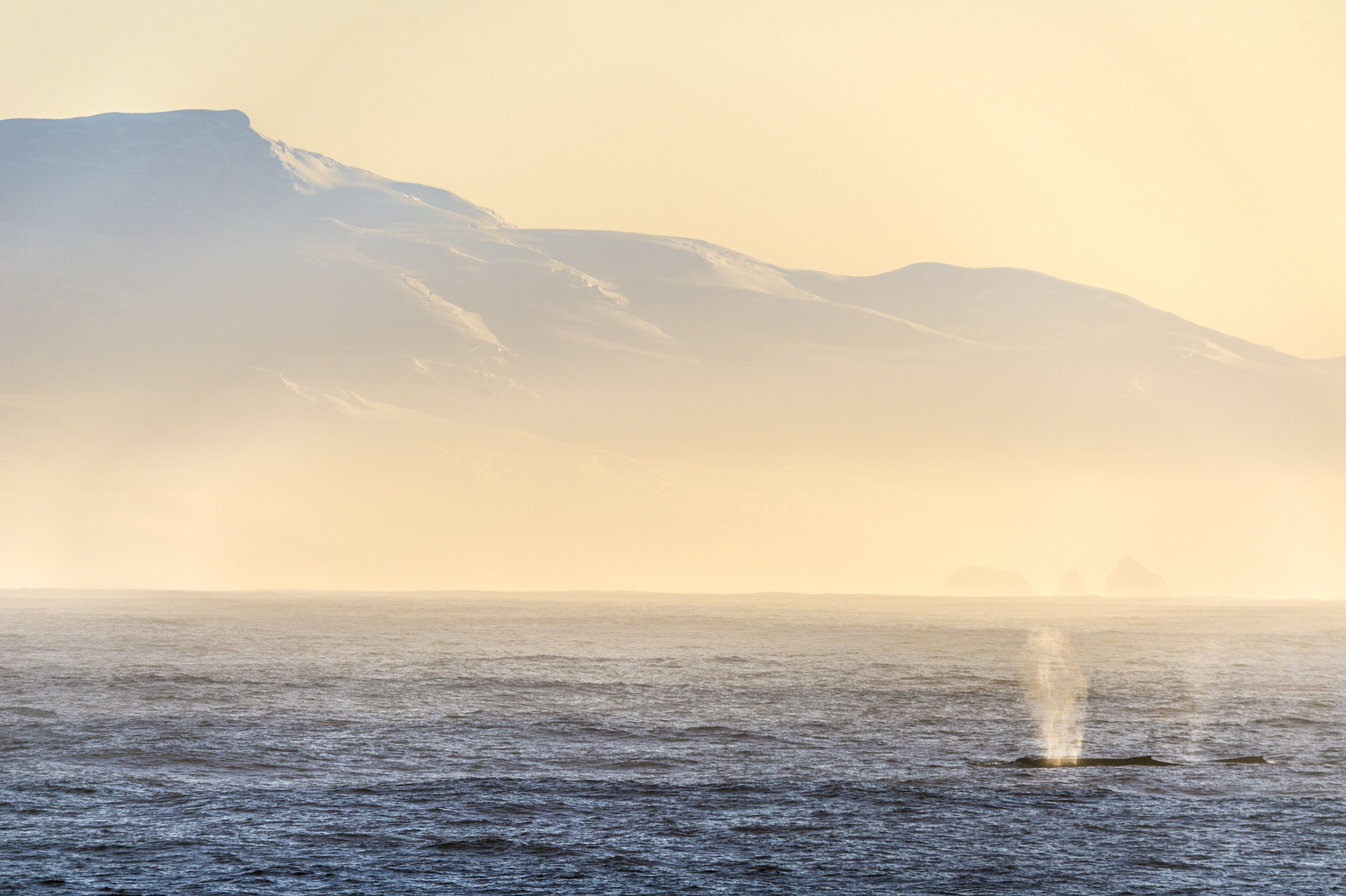 Szivárog a tengermélyi metán az Antarktisznál