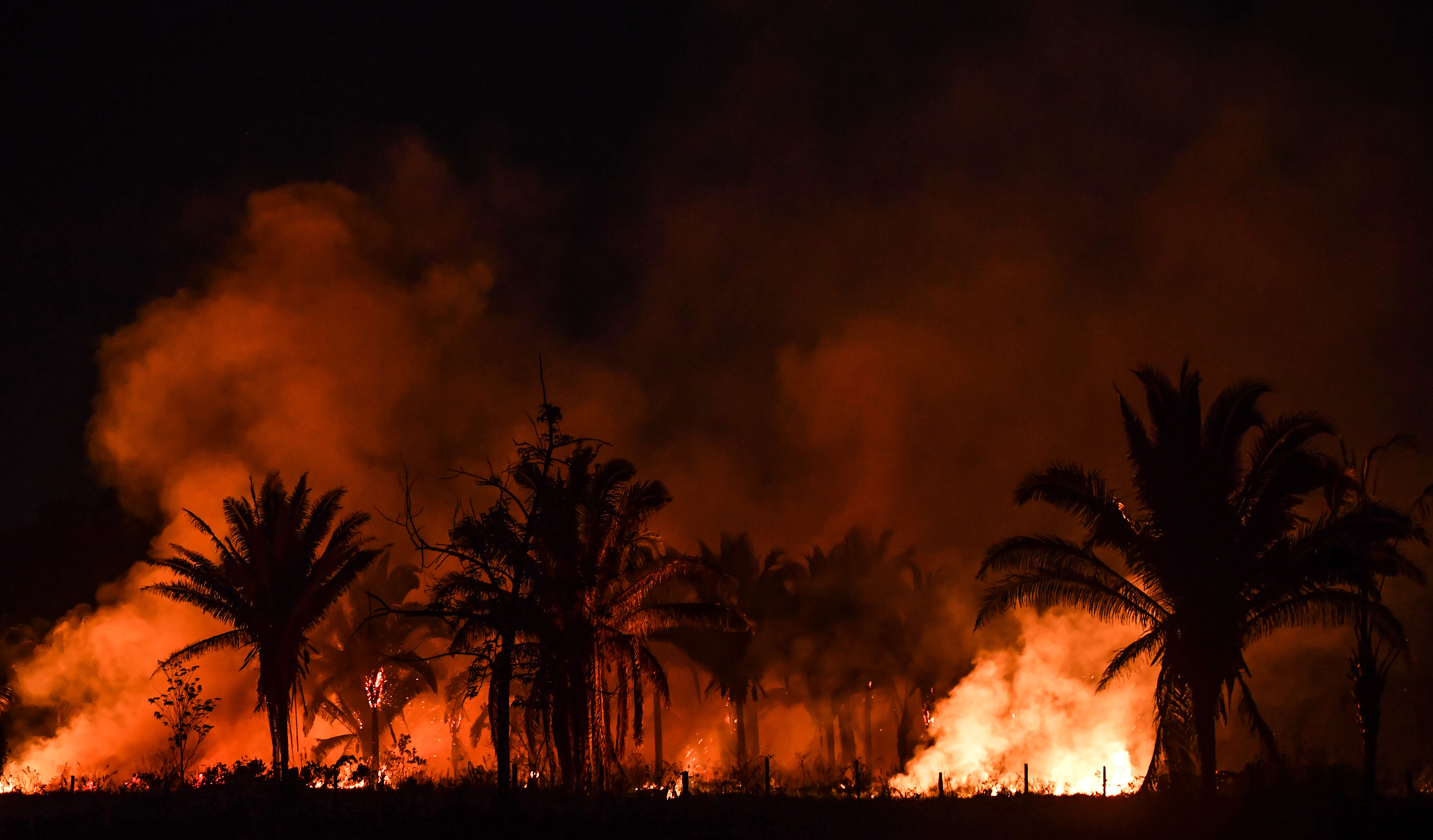 Újra lángolnak az esőerdők Brazíliában