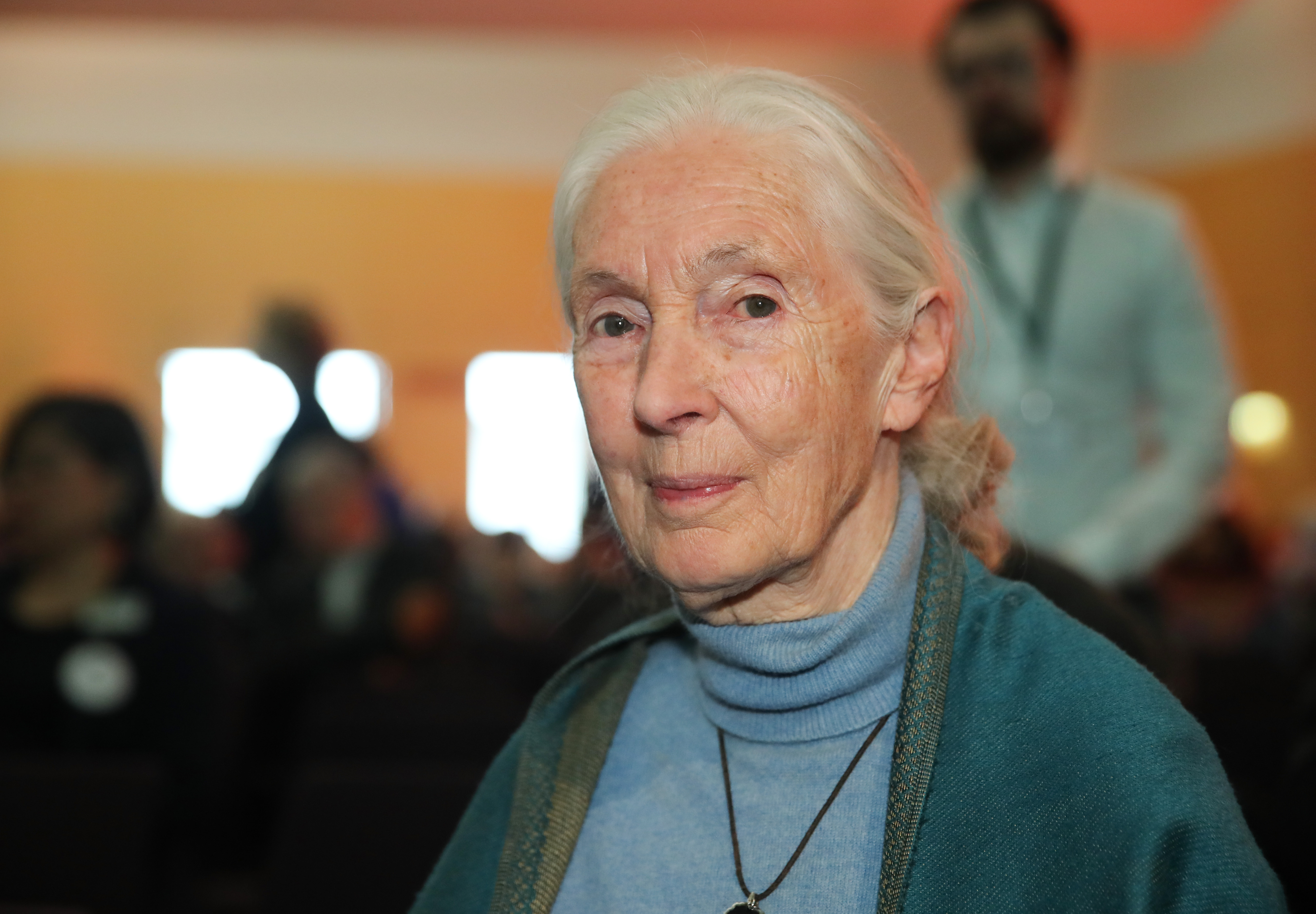 Jane Goodall: a vírusválságon túl leszünk, de az ökológiai pusztítás következménye súlyosabb