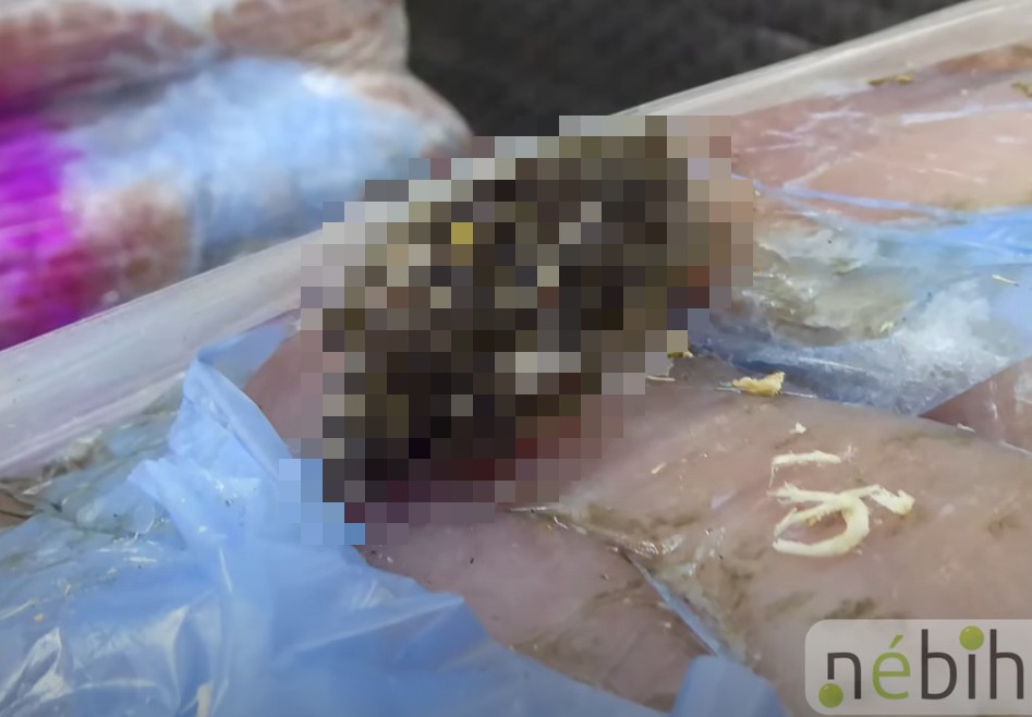 Rothadó egeret és penészes húst talált a Nébih egy szabolcsi raktárban