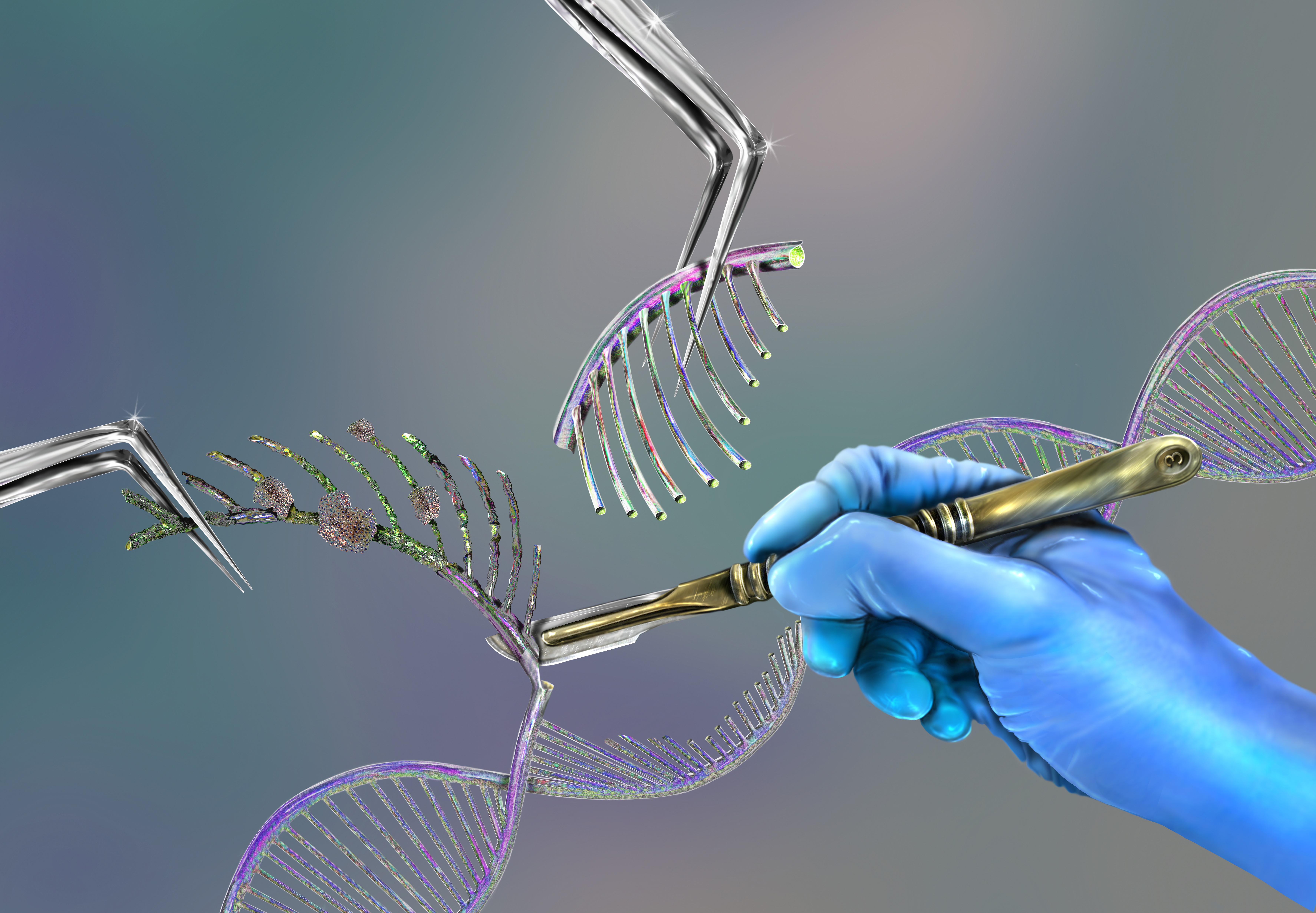 Mérföldkő a genetikában: az USA-ban jóváhagyták a sarlósejtes vérszegénység elleni CRISPR génterápiát