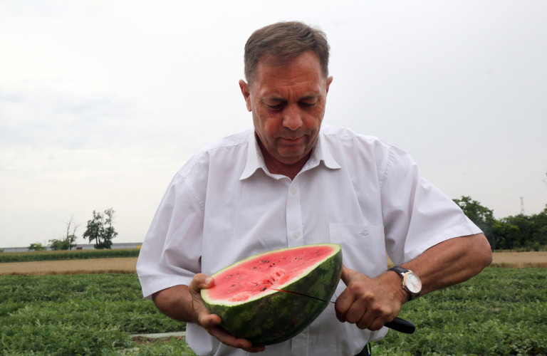 Pócs János Magyar Péter csak egy idióta