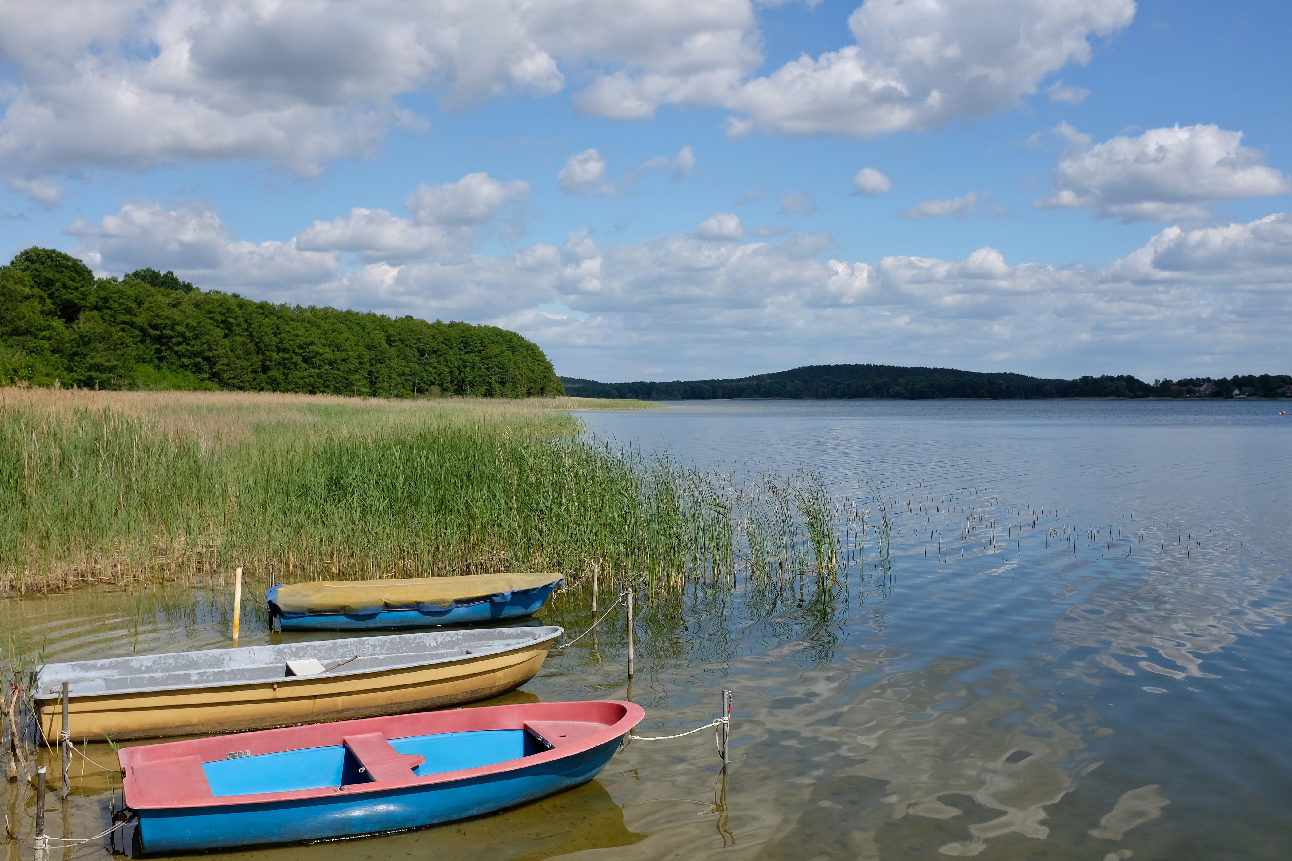 Egy kiszáradó brandenburgi tó a klímaváltozás sokadik szimbóluma