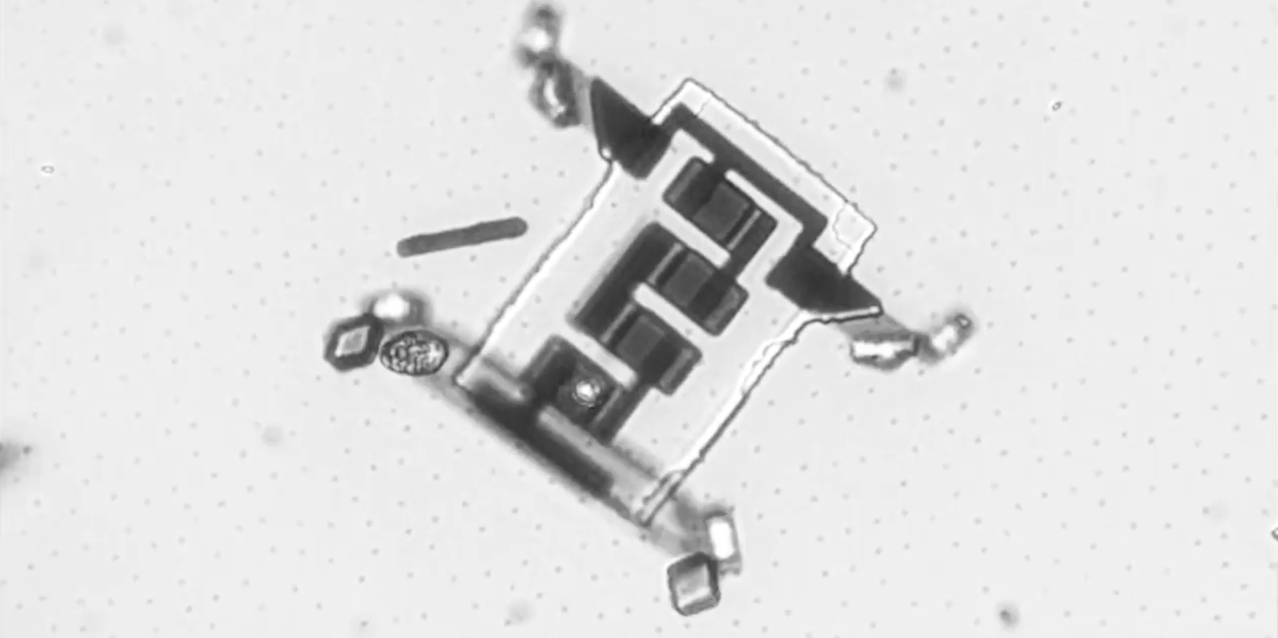 Papucsállatka méretű, járni képes robotok térképezhetik fel az emberi testet