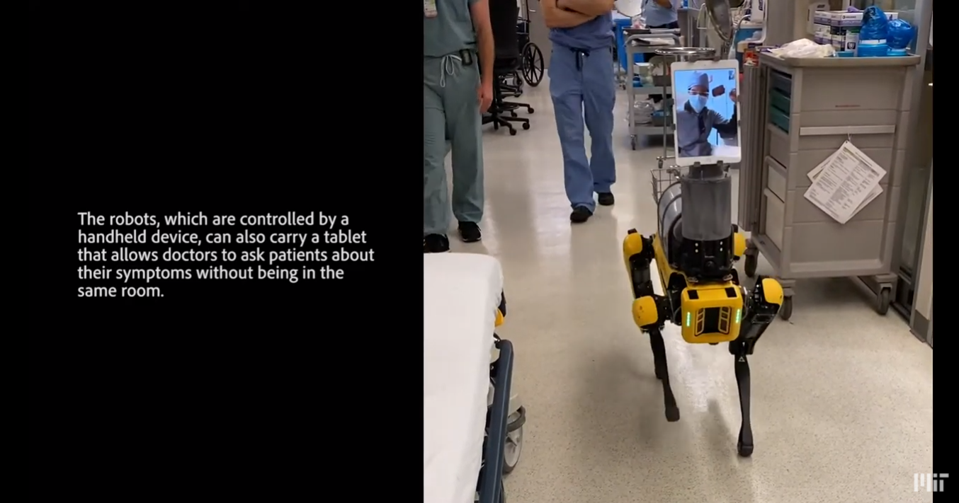 Robotkutyák ügyelnek majd a betegekre egy amerikai kórházban