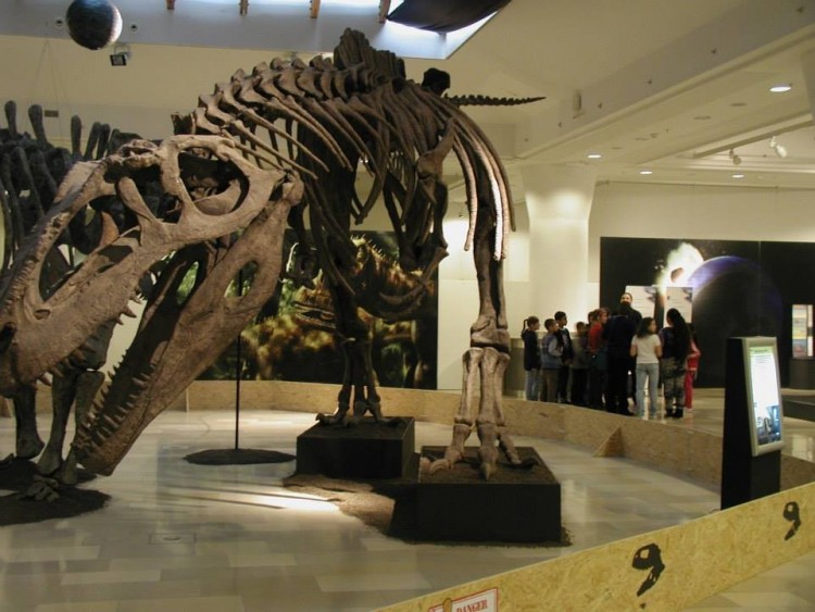 Beláthatatlan következményekkel jár a Természettudományi Múzeum elköltöztetése