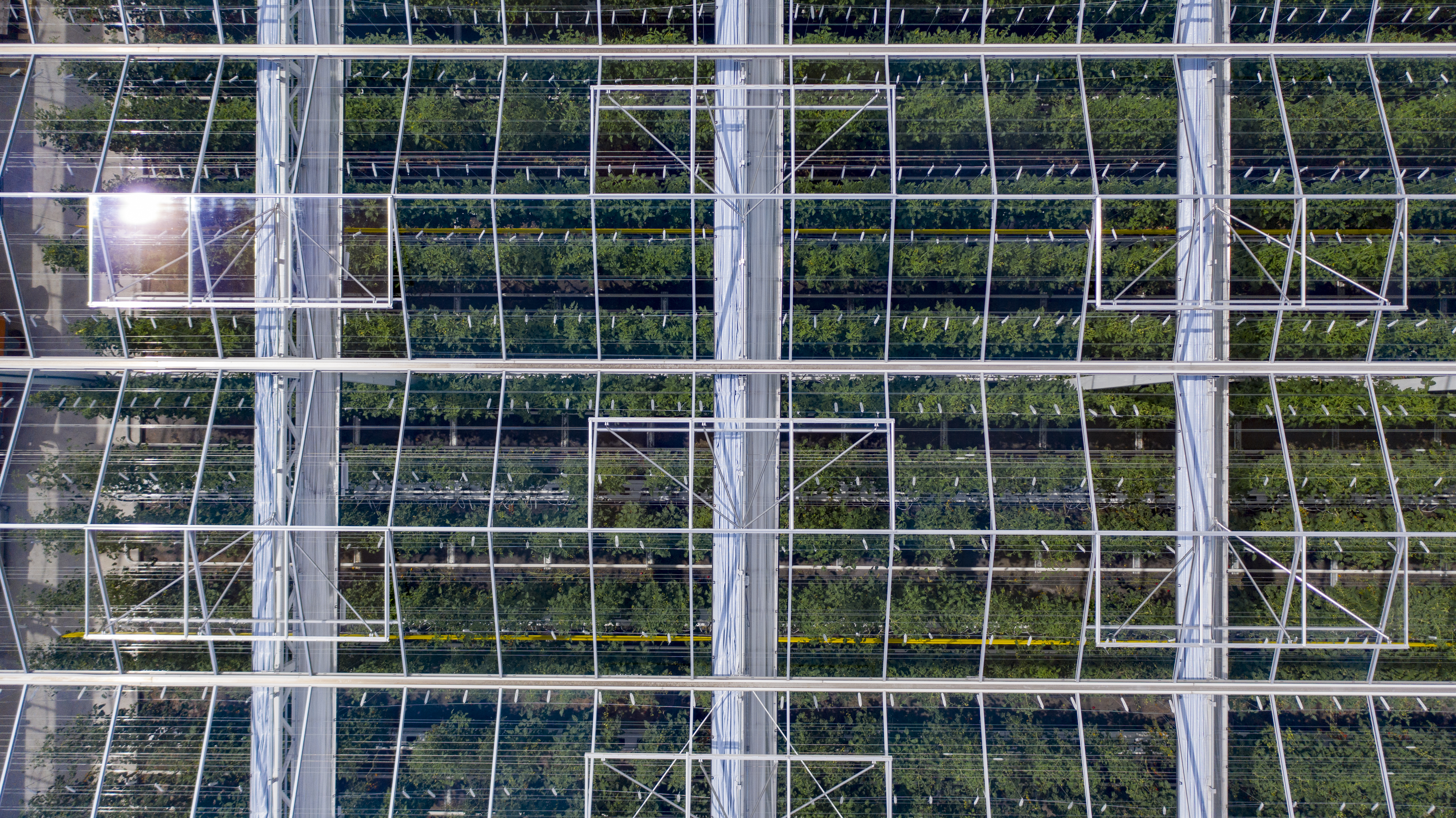 Montréalban épült fel a világ legnagyobb haszonnövény-tetőkertje