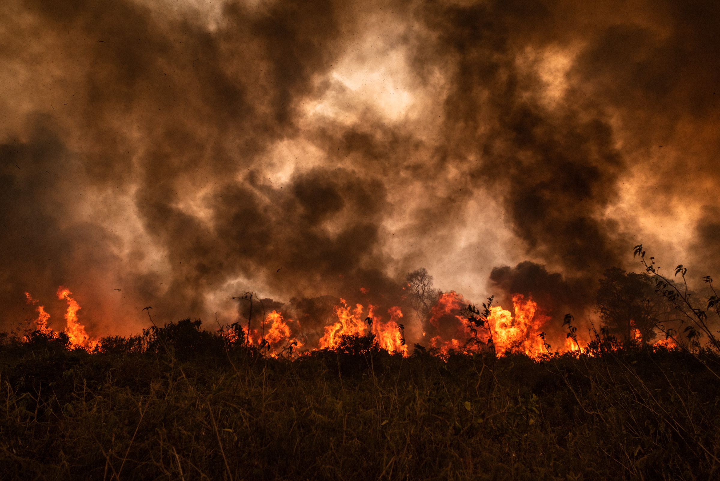 Másfélmillió hektárnyi terület égett le a Föld legnagyobb trópusi mocsarának térségében