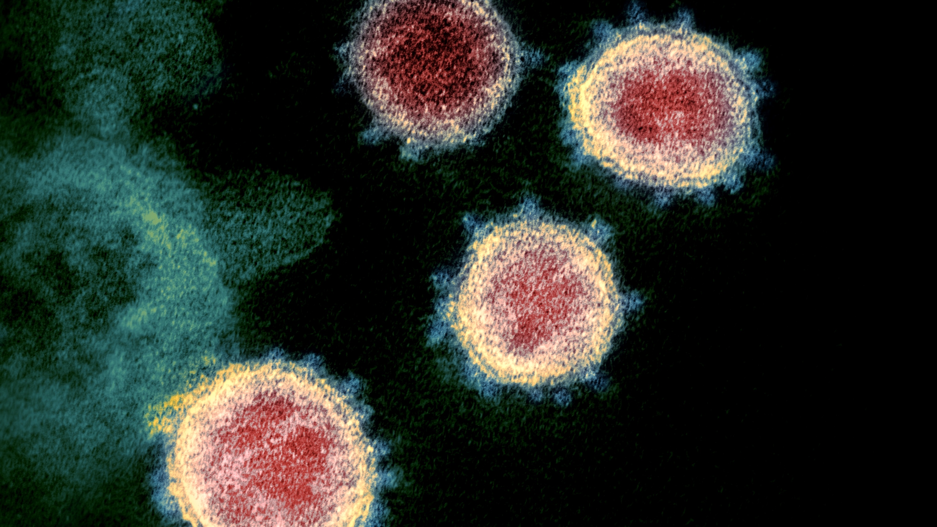 Vírust találtak egy koronavírus-kockázatokat taglaló körlevélben
