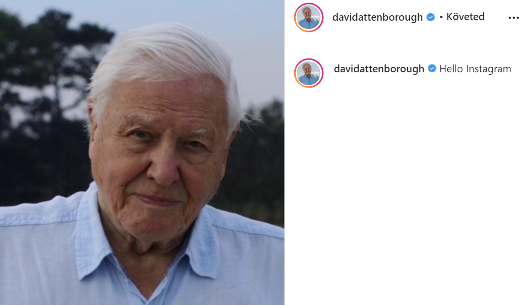 David Attenborough 94 évesen regisztrált az Instagramra, hogy még több embernek elmondhassa: bajban vagyunk