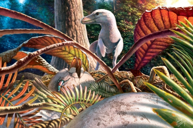 A Pseudogeckoolithus tojások és a feltételezett tojásrakó maniraptora dinoszaurusz rekonstrukciója