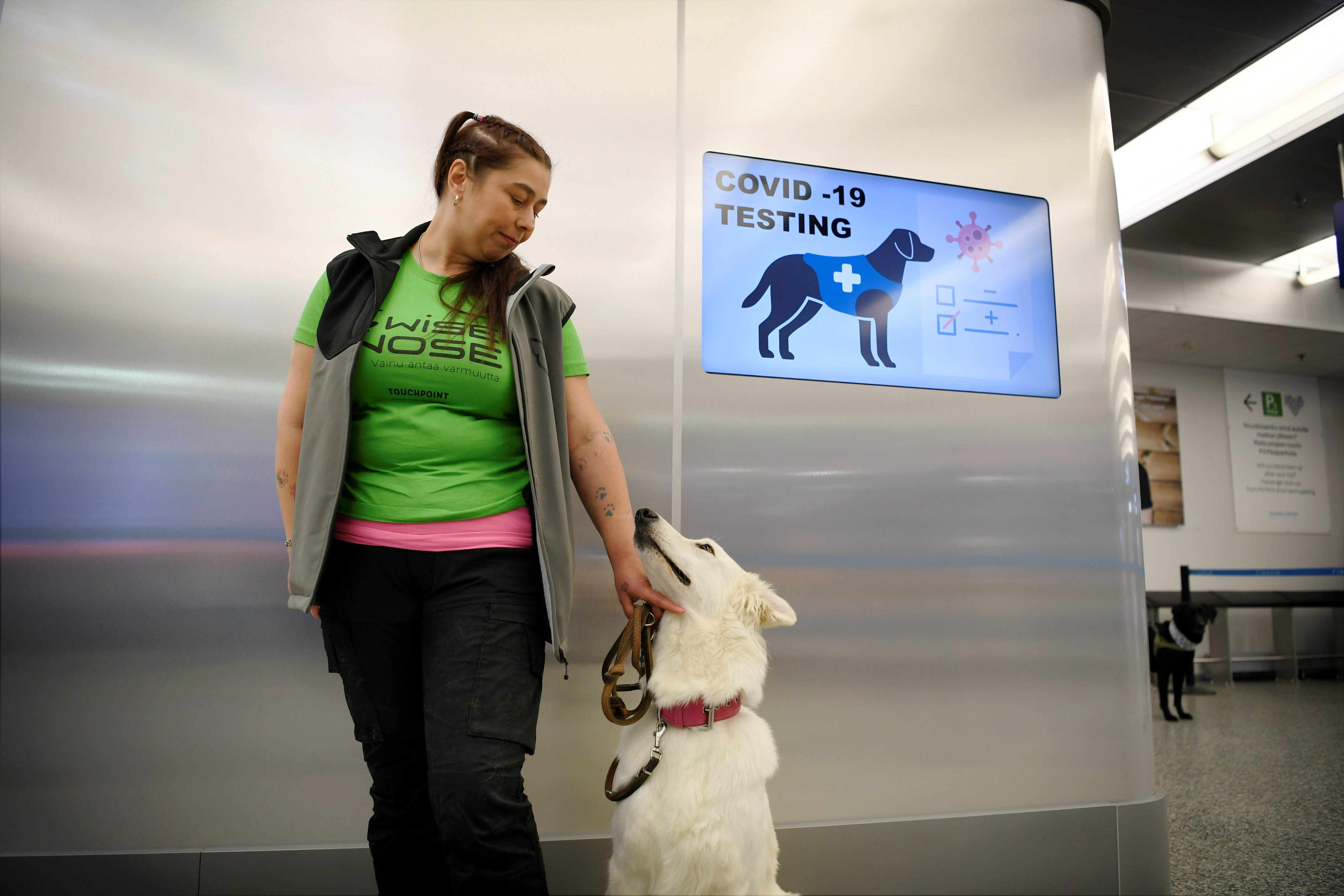 Kitüntették a helsinki repülőtéren koronavírust kiszagoló kutyákat