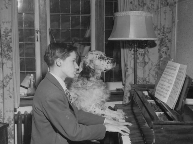 Glenn Gould szelleme, a nagybőgő apoteózisa és őszi avantgárdok