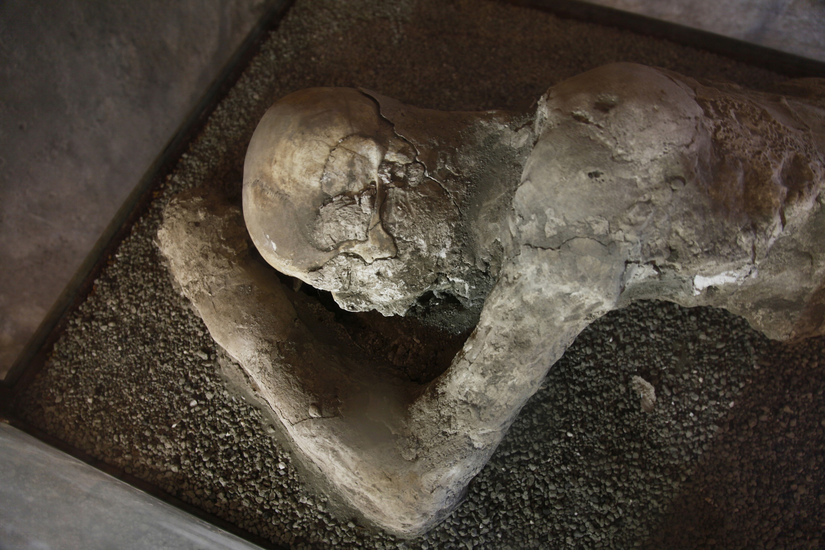 Kétezer éves neuronokra bukkantak a Vezúv áldozatának elüvegesedett agyában