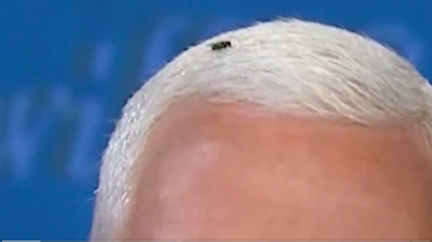 Két teljes percig ült egy légy az alelnökjelölti vita  közben Mike Pence fején