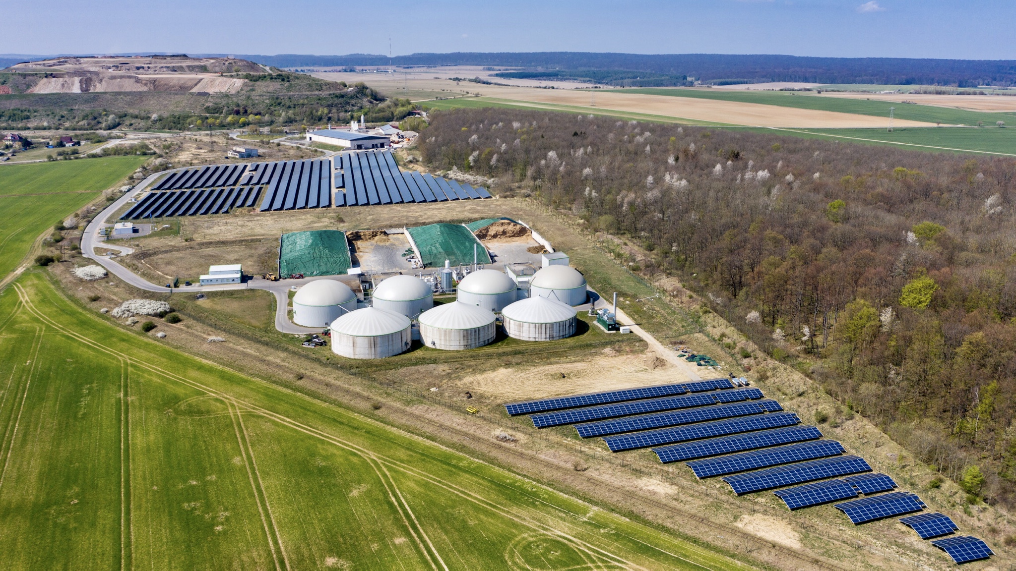 Megújuló energiaforrások találkozása: napelemhajtású biomassza-erőmű.