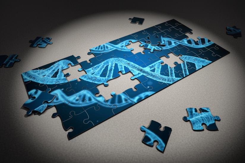 Miként kerül át egy gén információja az egyik generációból a másikba a DNS-szekvencia megváltozása nélkül?