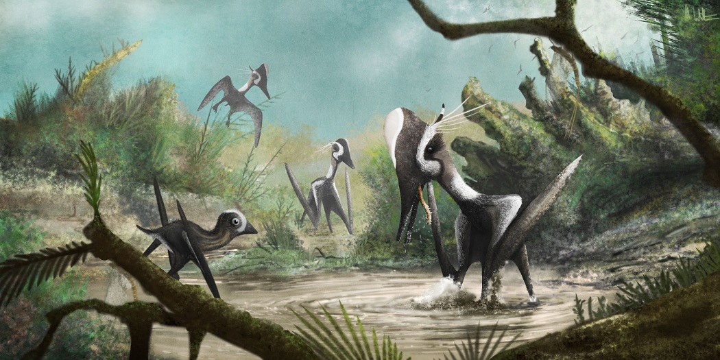 A késő Júrában élt, pteroszauruszok közé tartozó Pterodactylus antiquus-ok illusztrációja.