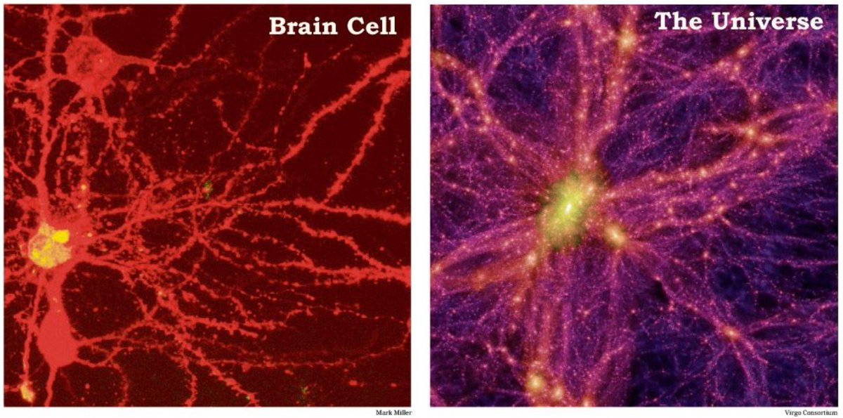Ez itt egy agysejt, ez meg az univerzum. Fedezd fel a különbségeket!