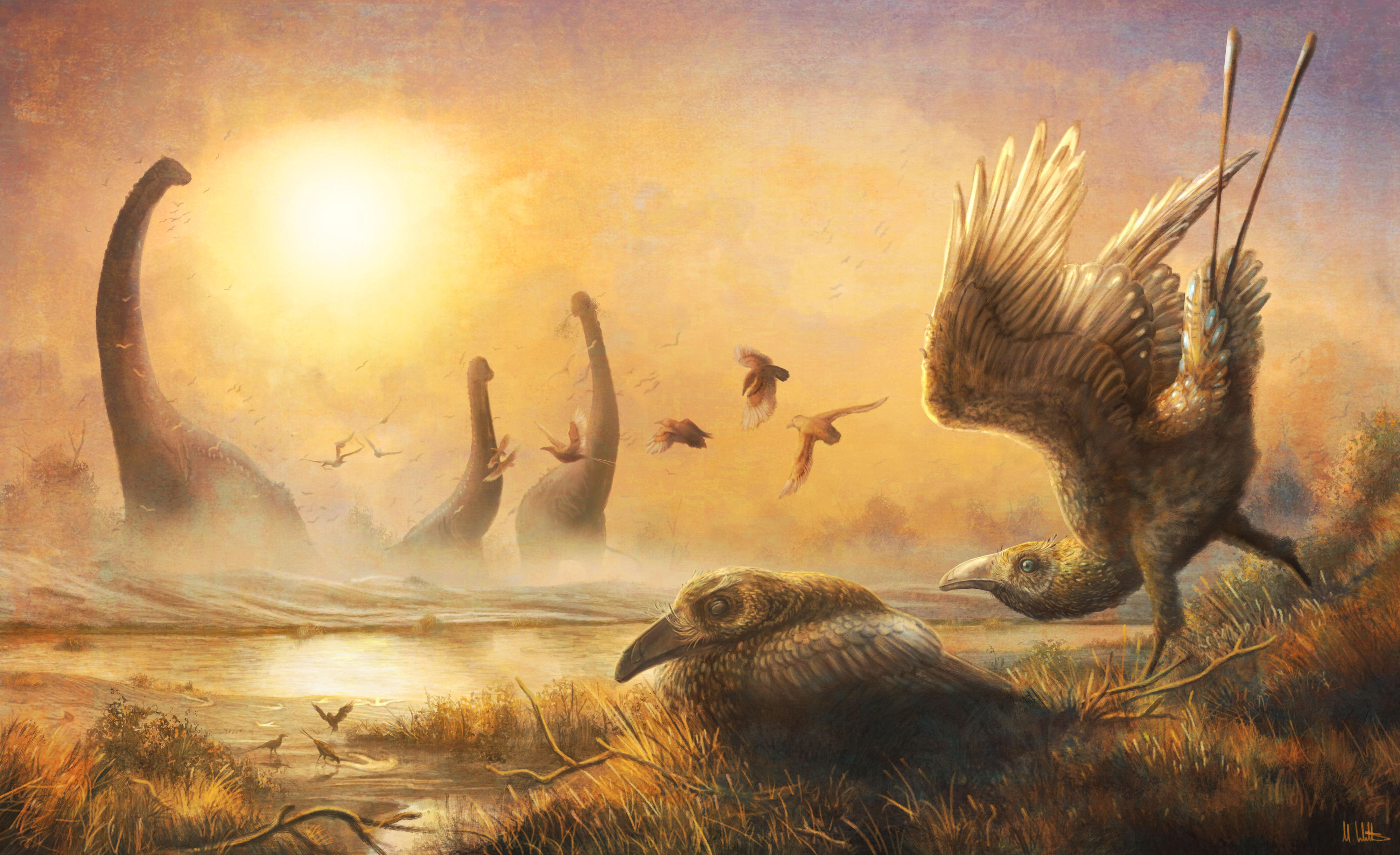 A Falcatakely más dinoszauruszok társaságában látható ezen a fantáziarajzon.