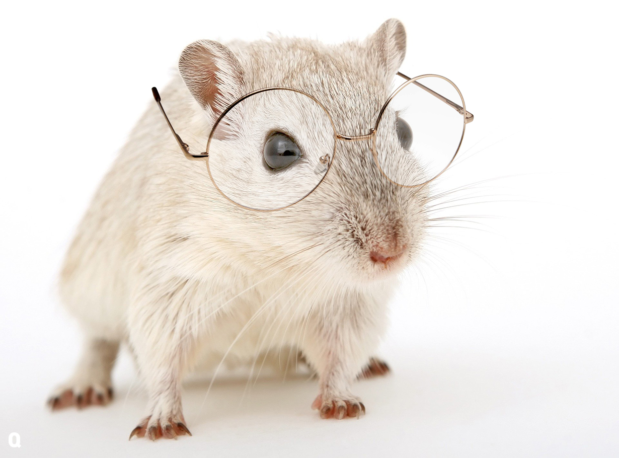 Sejtek molekuláris átprogramozásával sikeresen helyreállították egerek látását
