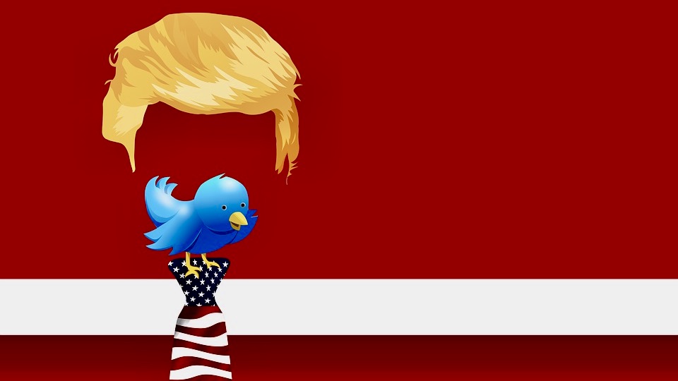 Egy holland hacker kitalálta Donald Trump Twitter-fiókjának jelszavát