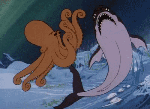 Halakkal pofozkodó polip tartja rettegésben a Vörös-tengert