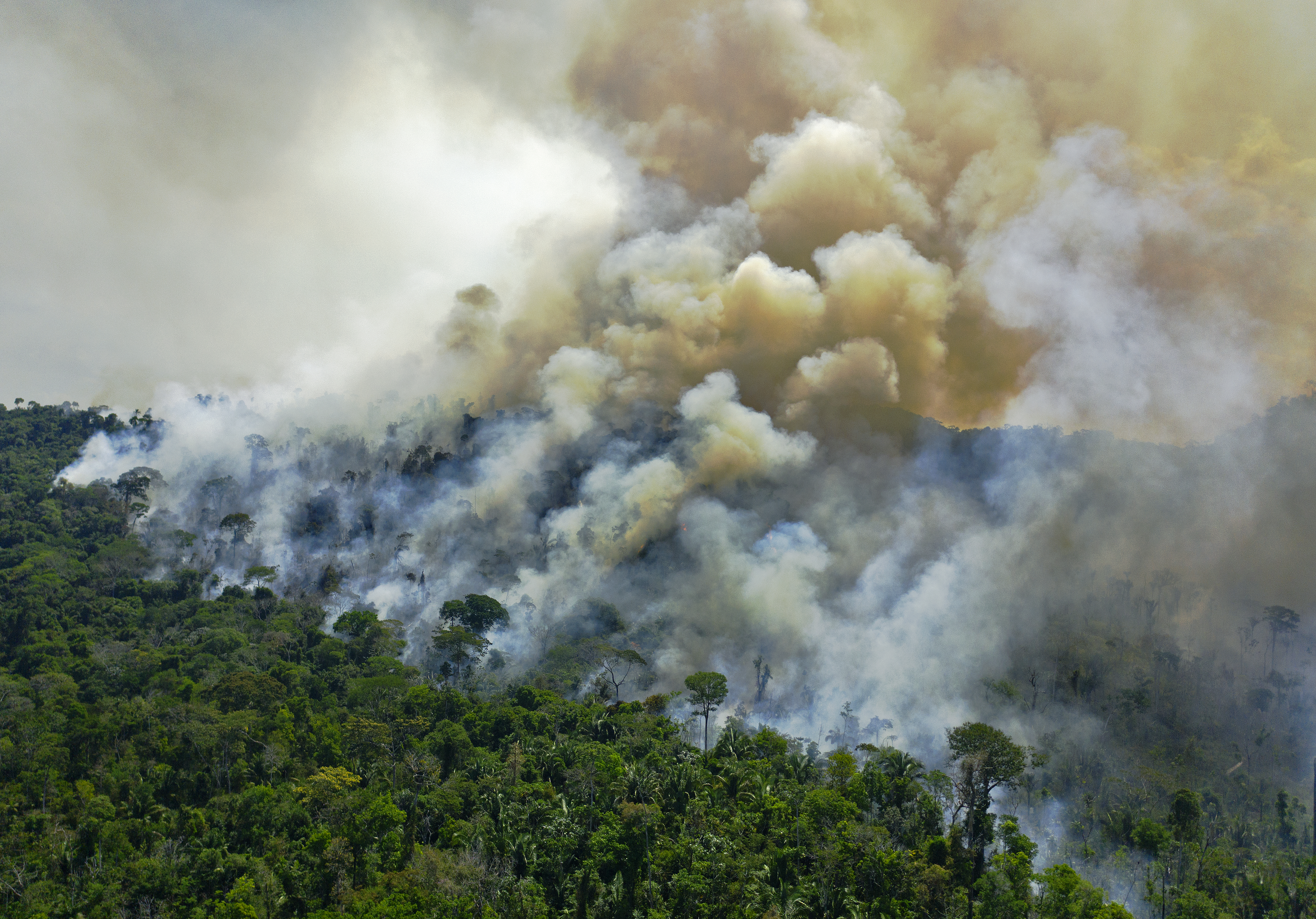 Tíz éve nem volt annyi erdőtűz Brazíliában, mint 2020-ban