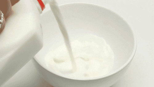 Élesztőből állítottak elő mesterséges tejet izraeli kutatók