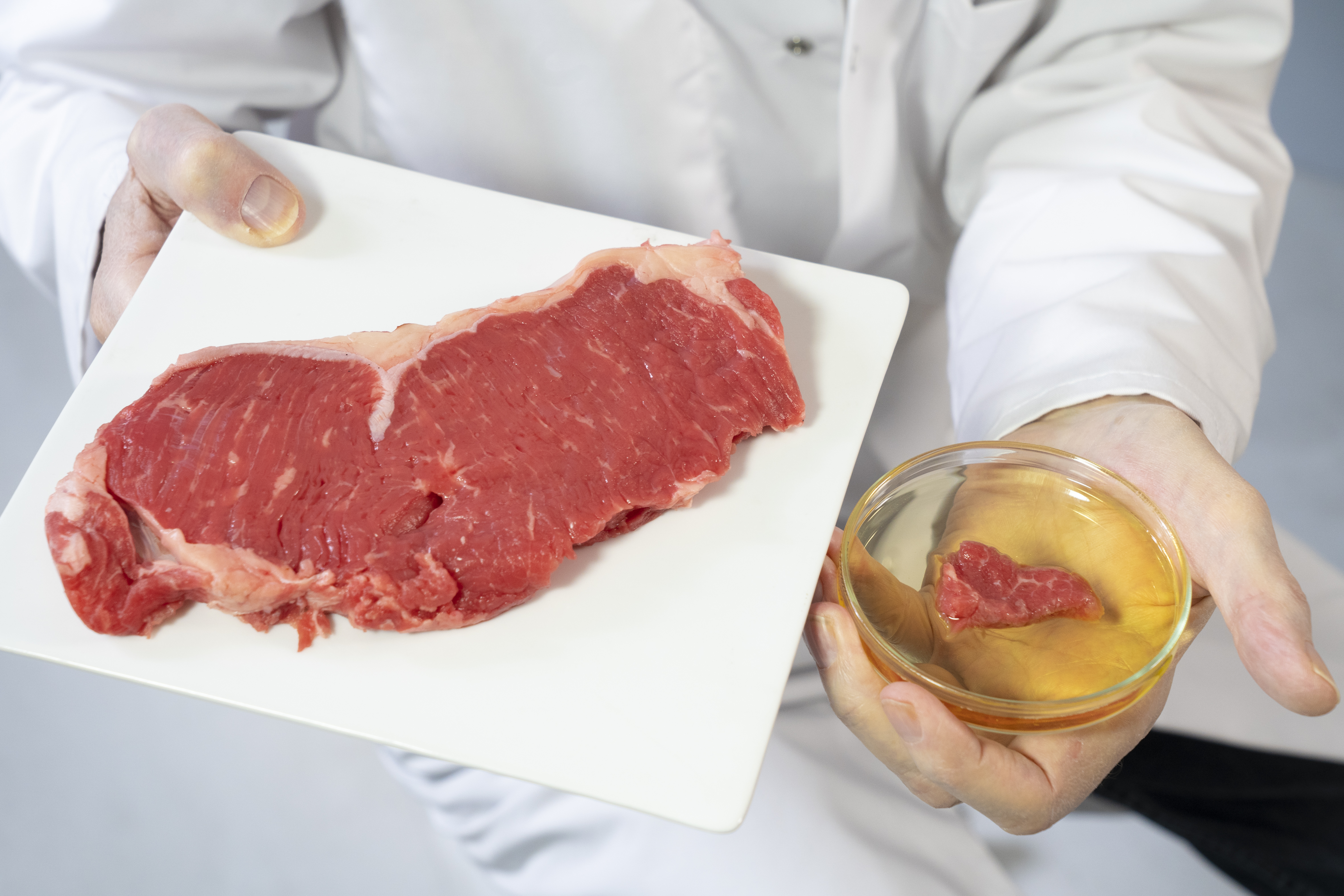 Márványozott műhúst növesztettek Kanadában